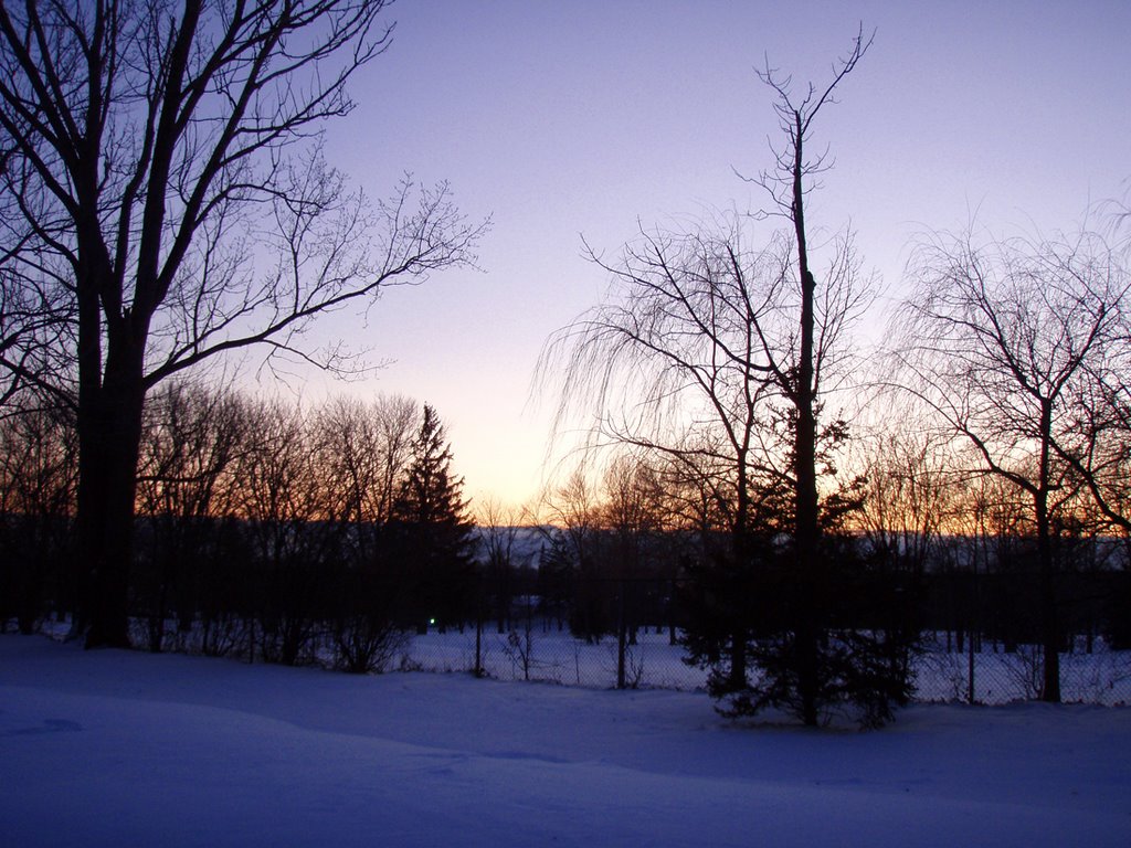 Winter Walk