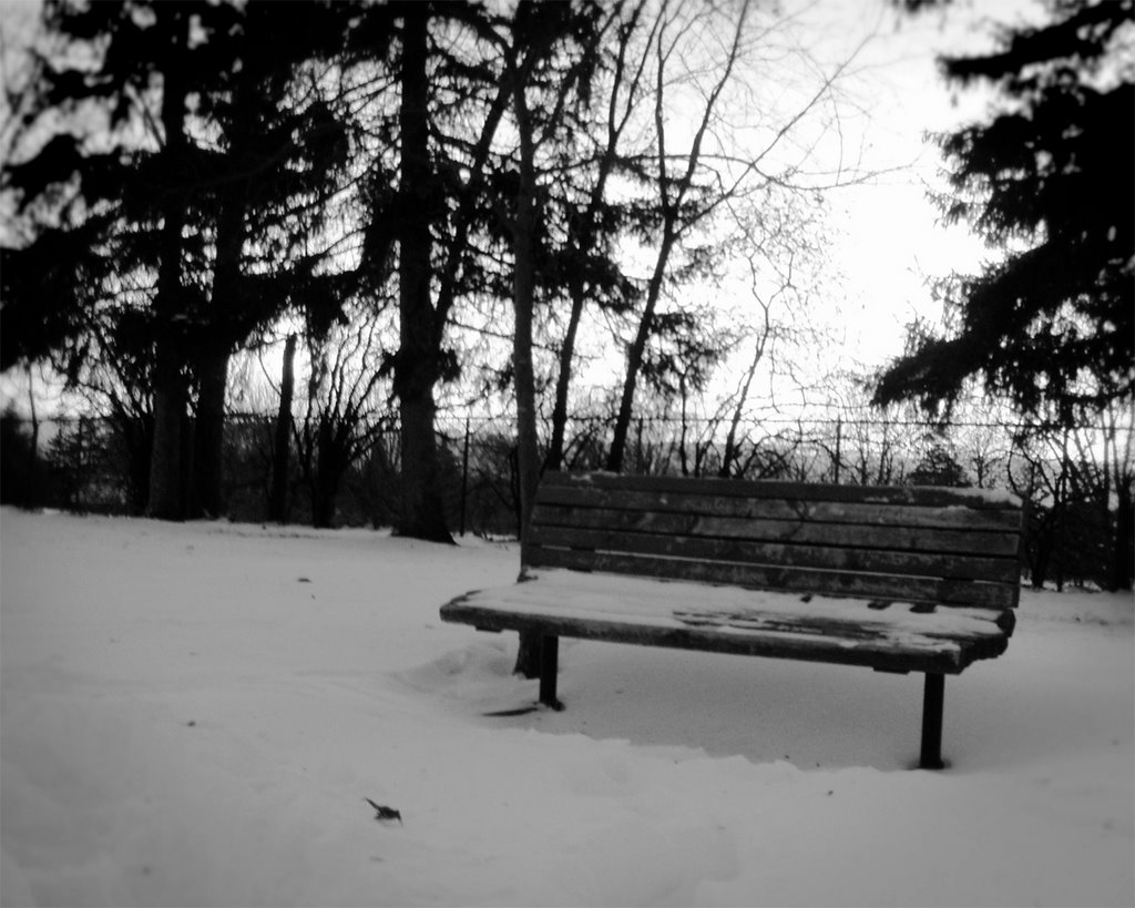 Snowy Park Bench