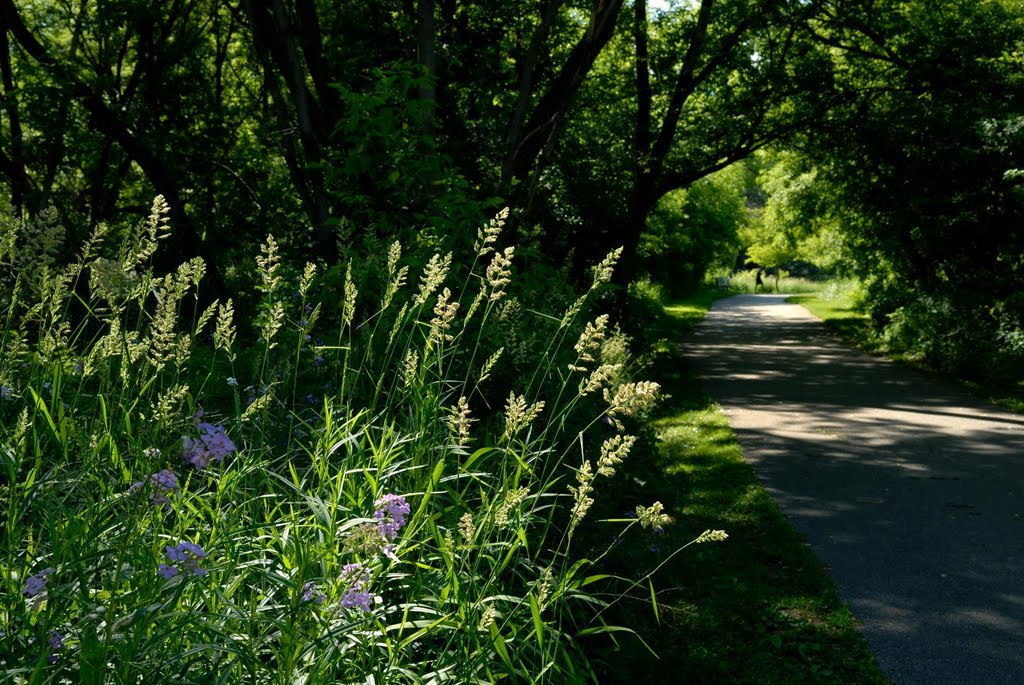 Oshawa trail, Oshawa