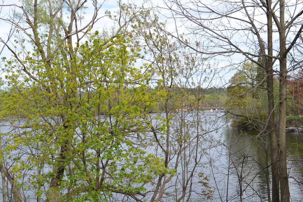 Peterborough Ontario
