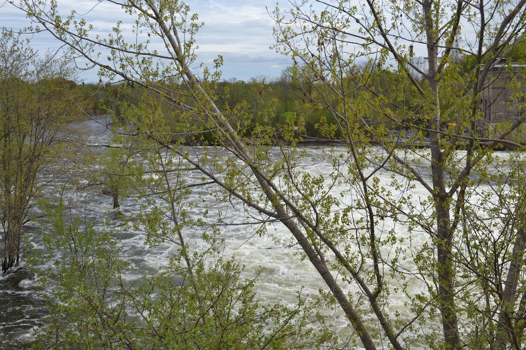 Peterborough Ontario