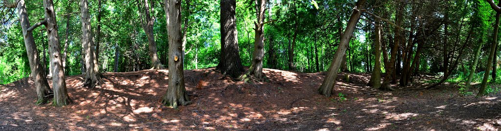 Cedar Grove - W Duffins Creek Trail