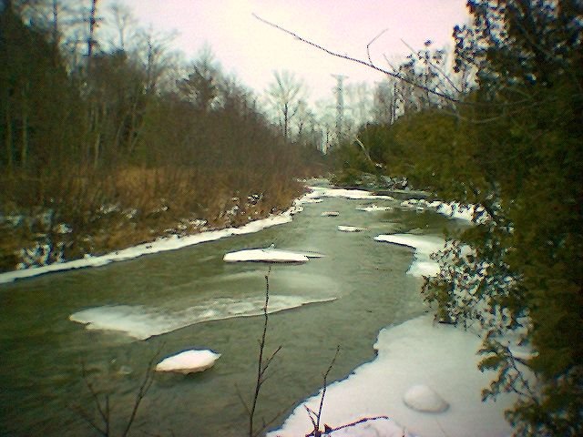 Ice on Duffins Creek III