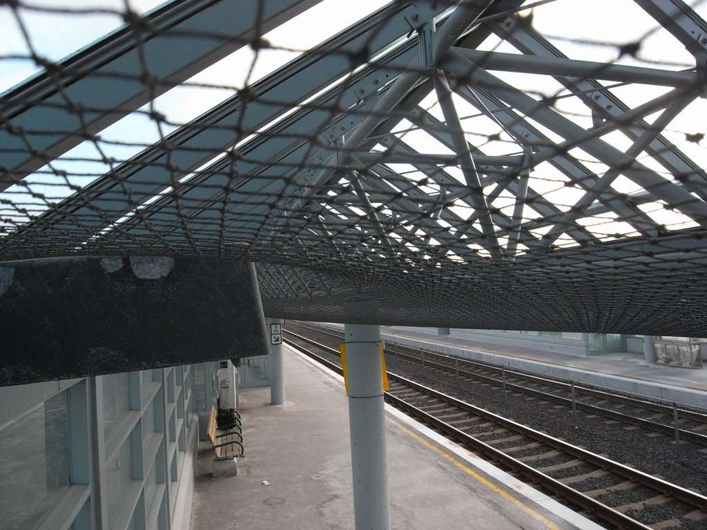 Netting