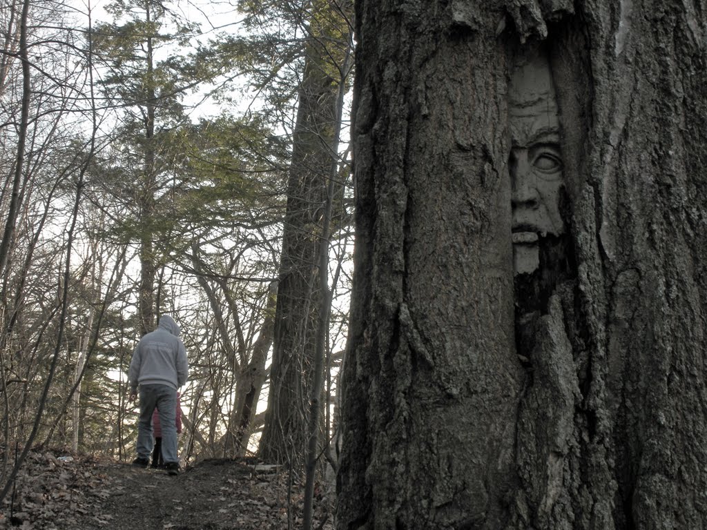 Face in the woods