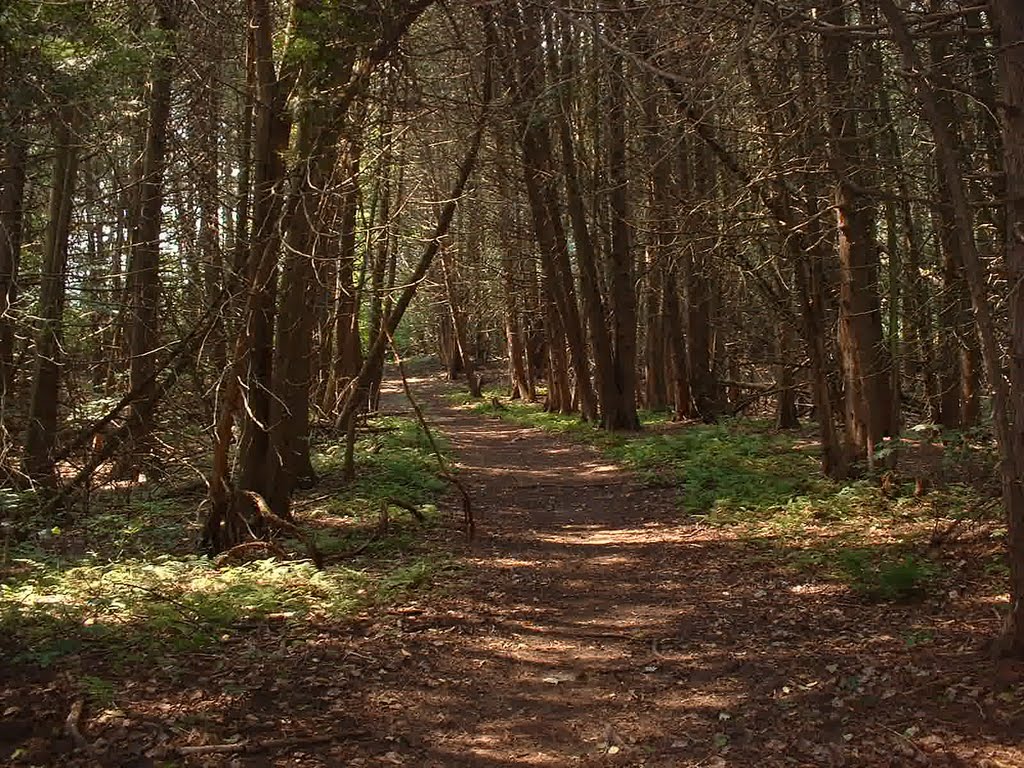 seaton hicking trail, pickering