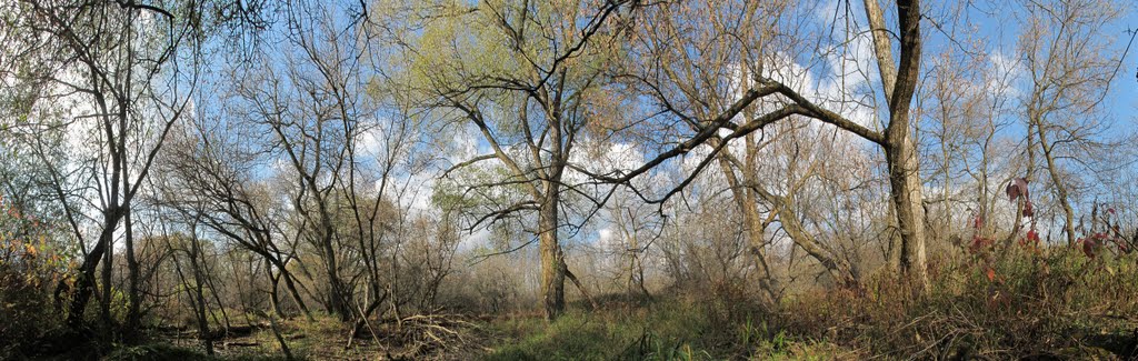 Transcanada Trail/Duffins Creek North, Ajax, ON, Canada