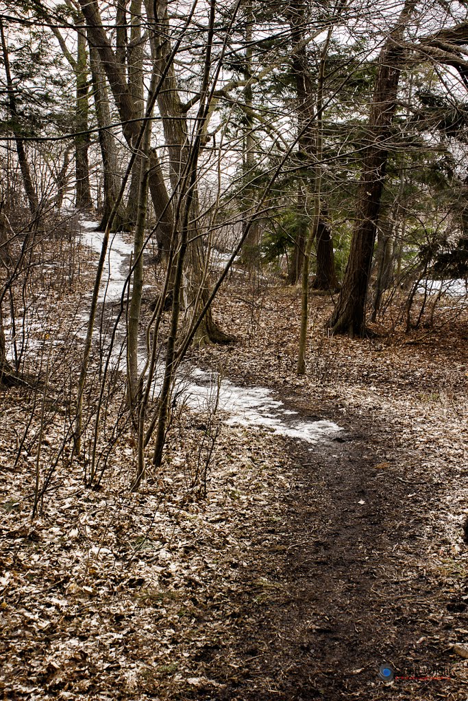 Random path