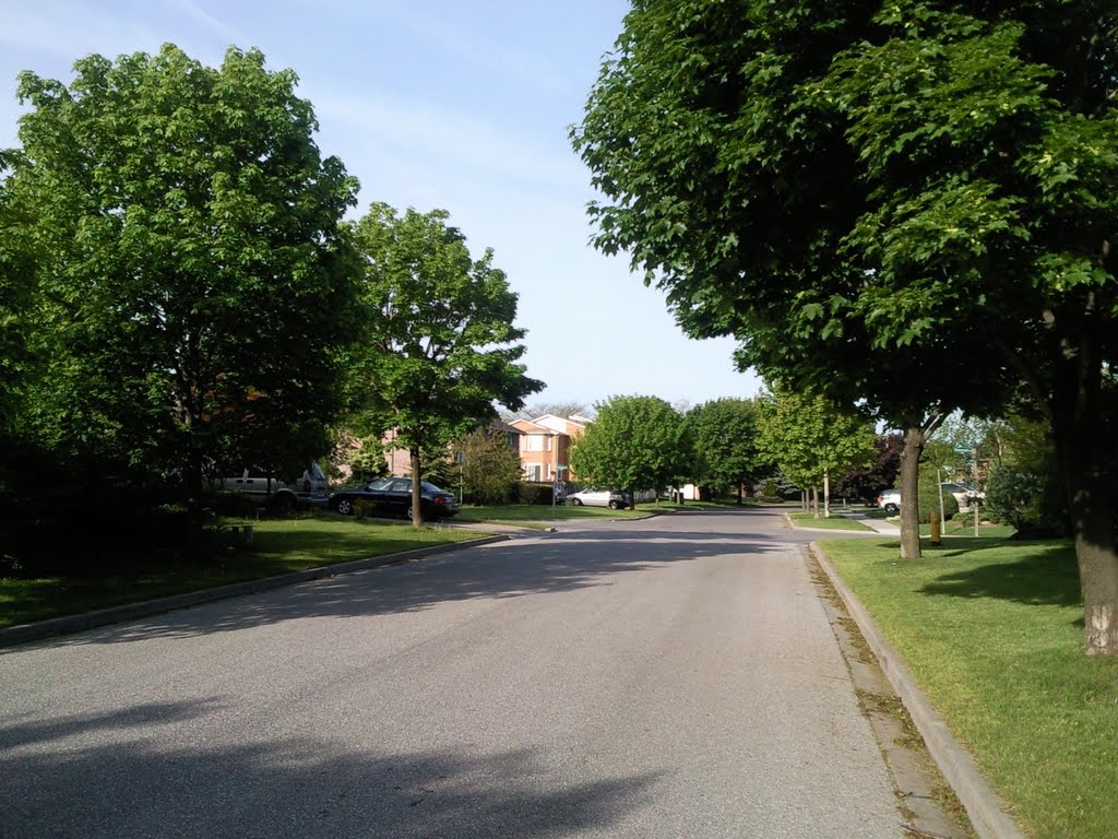 Lyndhurst Drive