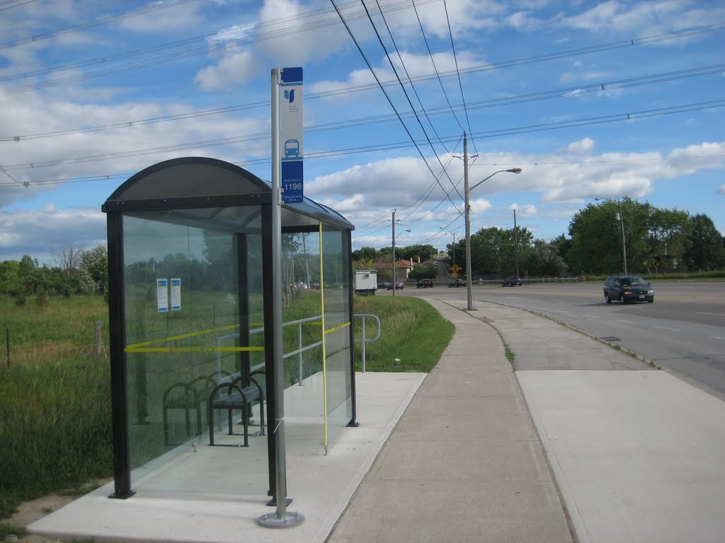 YRT Bus Stop #1196 at St. Robert CHS