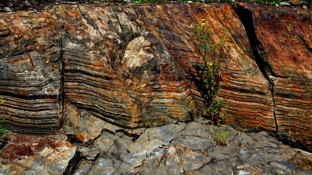 Elliot Lake