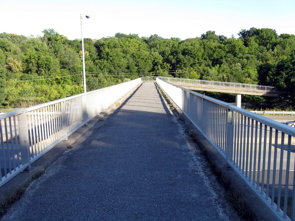 Pedestrian_Path_over_Highway_406