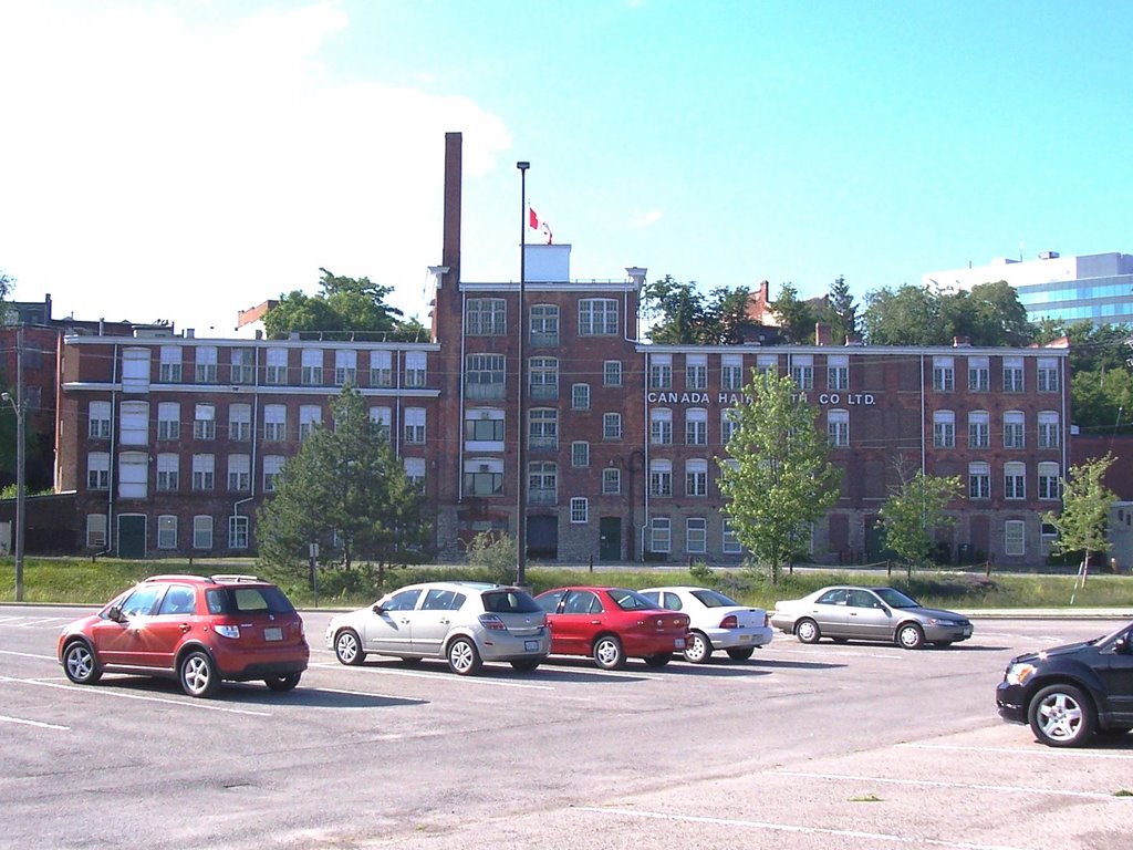 Hair Cloth Building