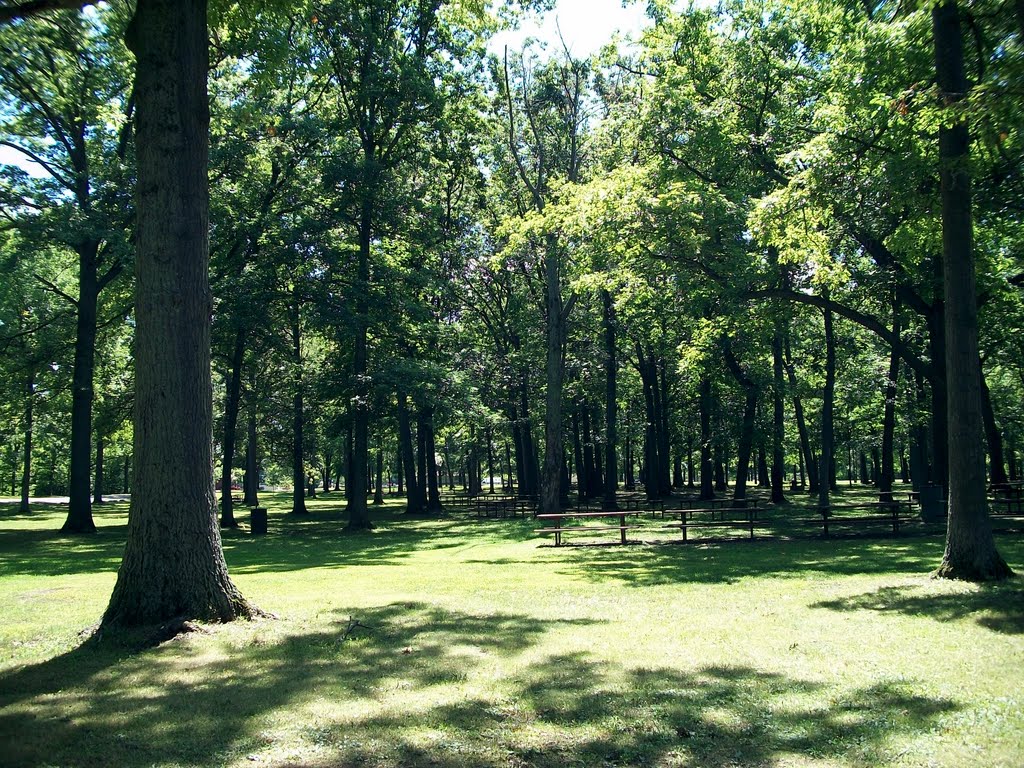 Burgoyne Woods Park