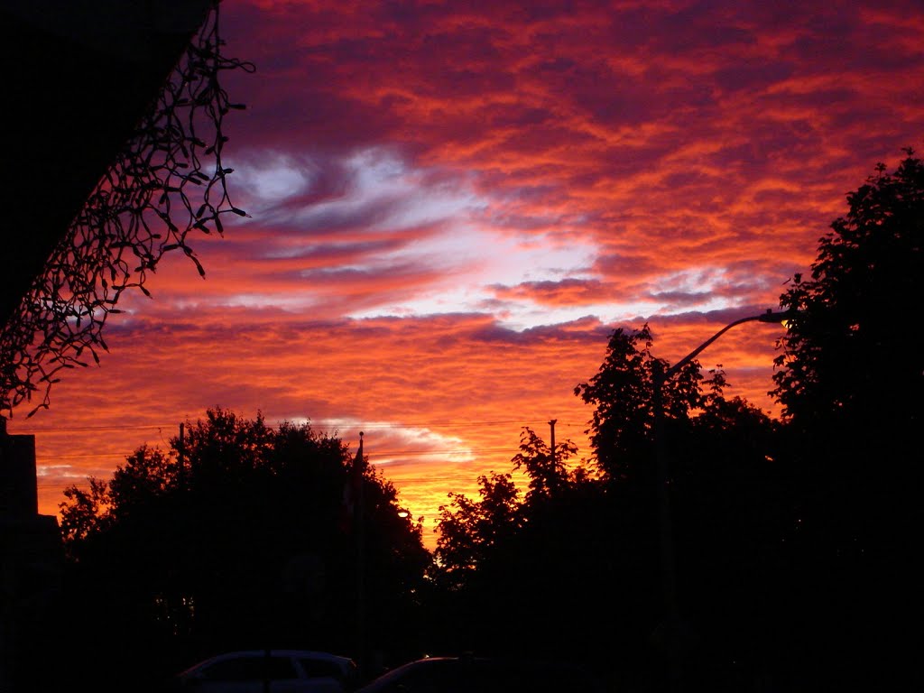 Fire in the Sky