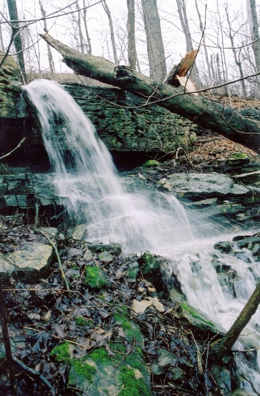 McNeilly Falls in Hamilton Canada