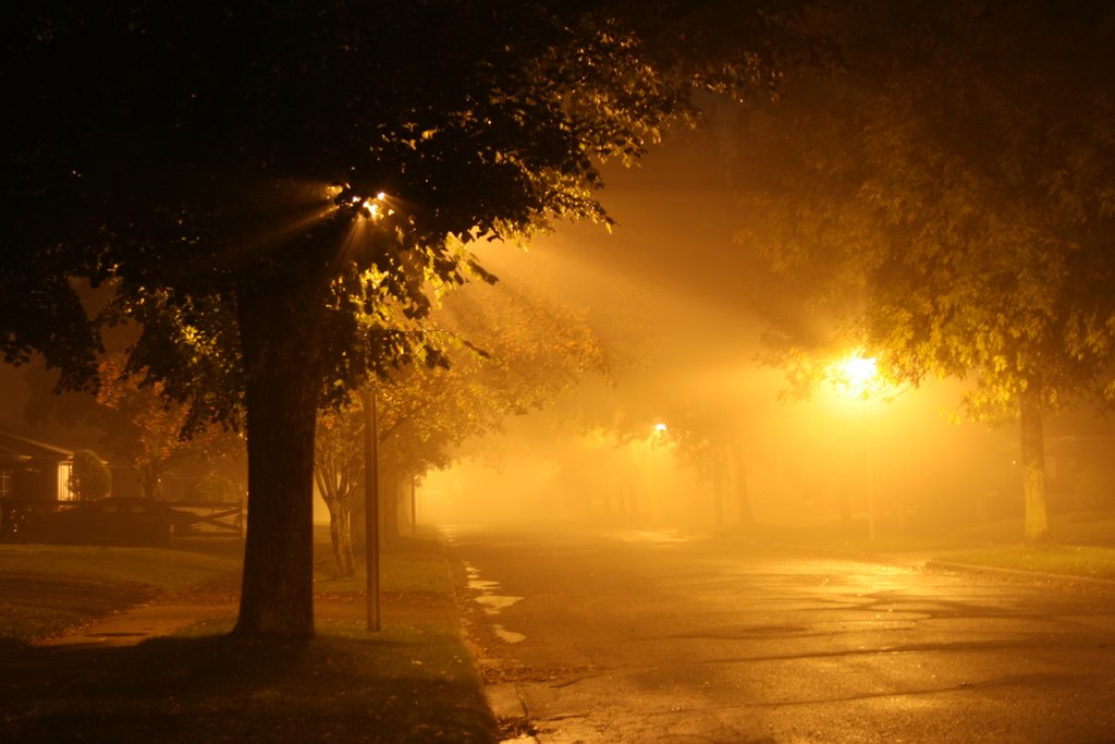 Foggy Redford