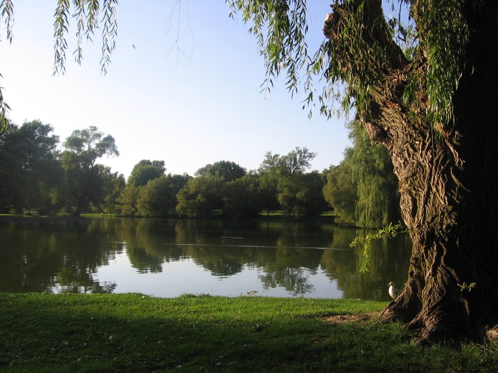 Vista Río Avon al atardecer-Stratford
