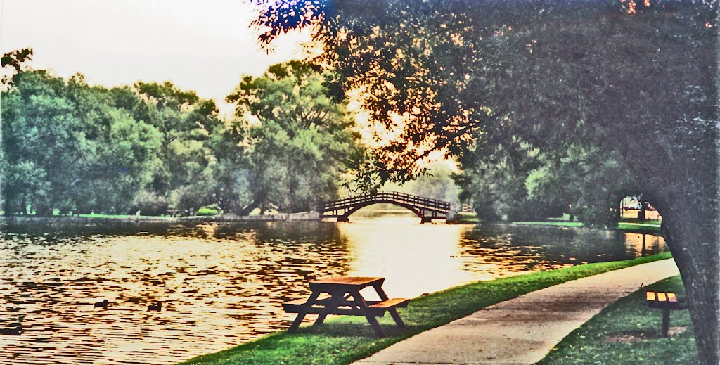 The Avon