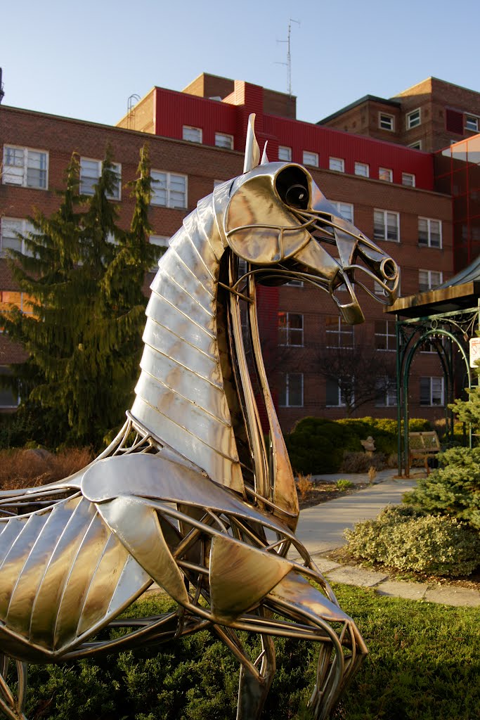 iron steed
