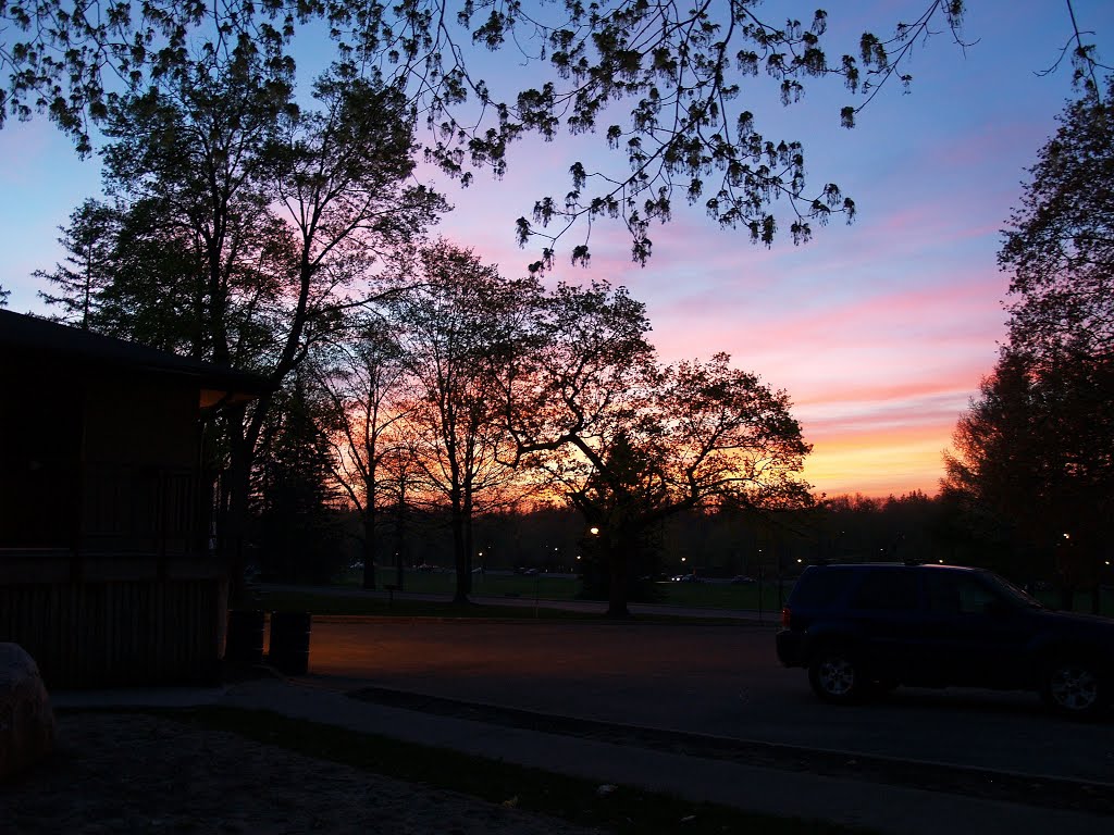 A theater of color