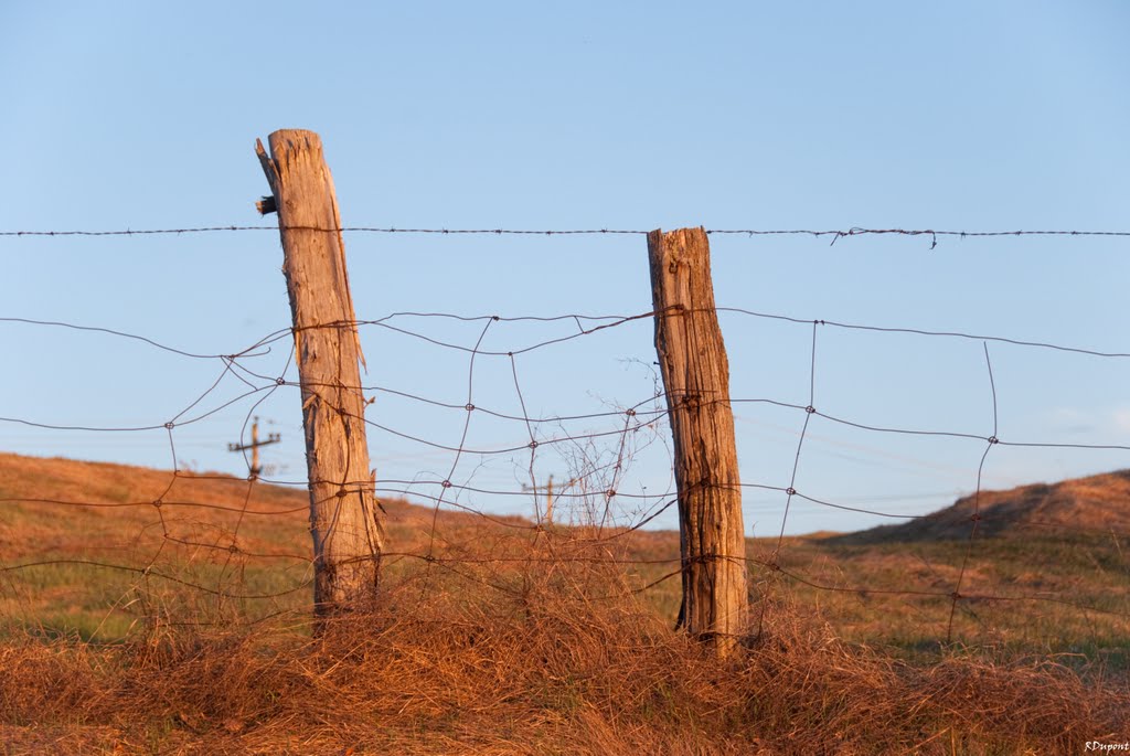 farm fence