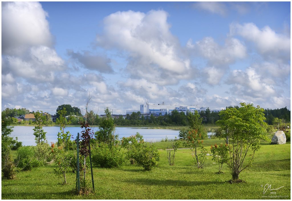Gilles Lake Park looking North towards Hospital