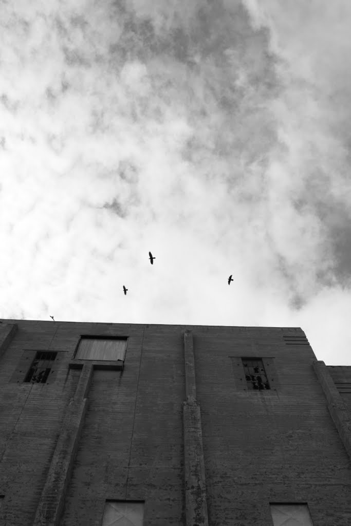 Merchants of death