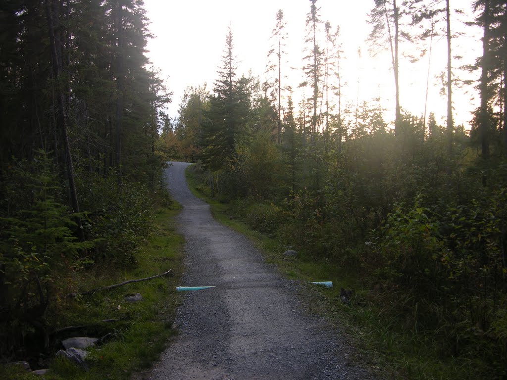 Timmins Trails