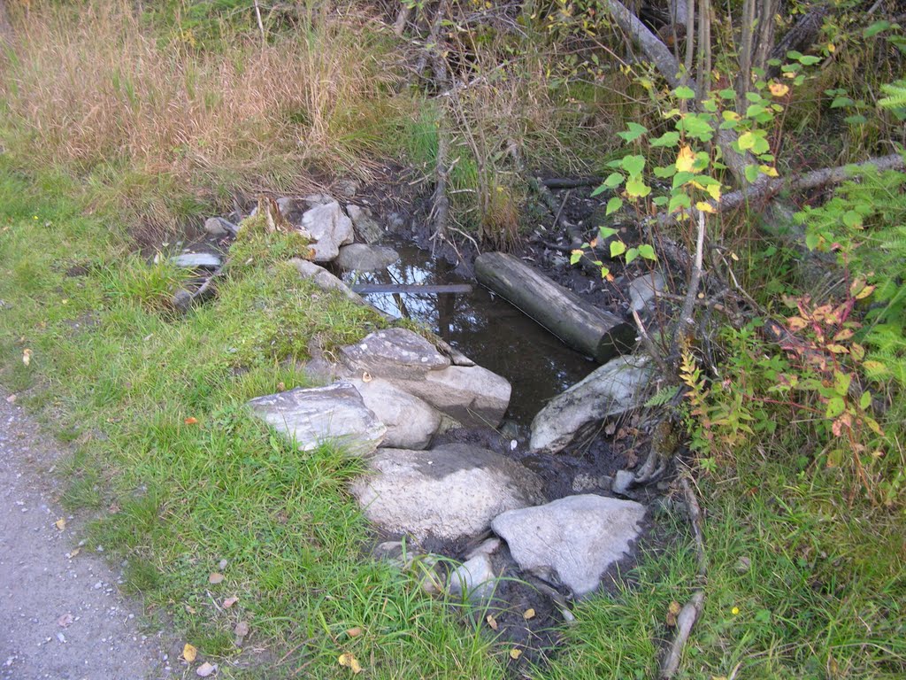 Creek Near City Hospital