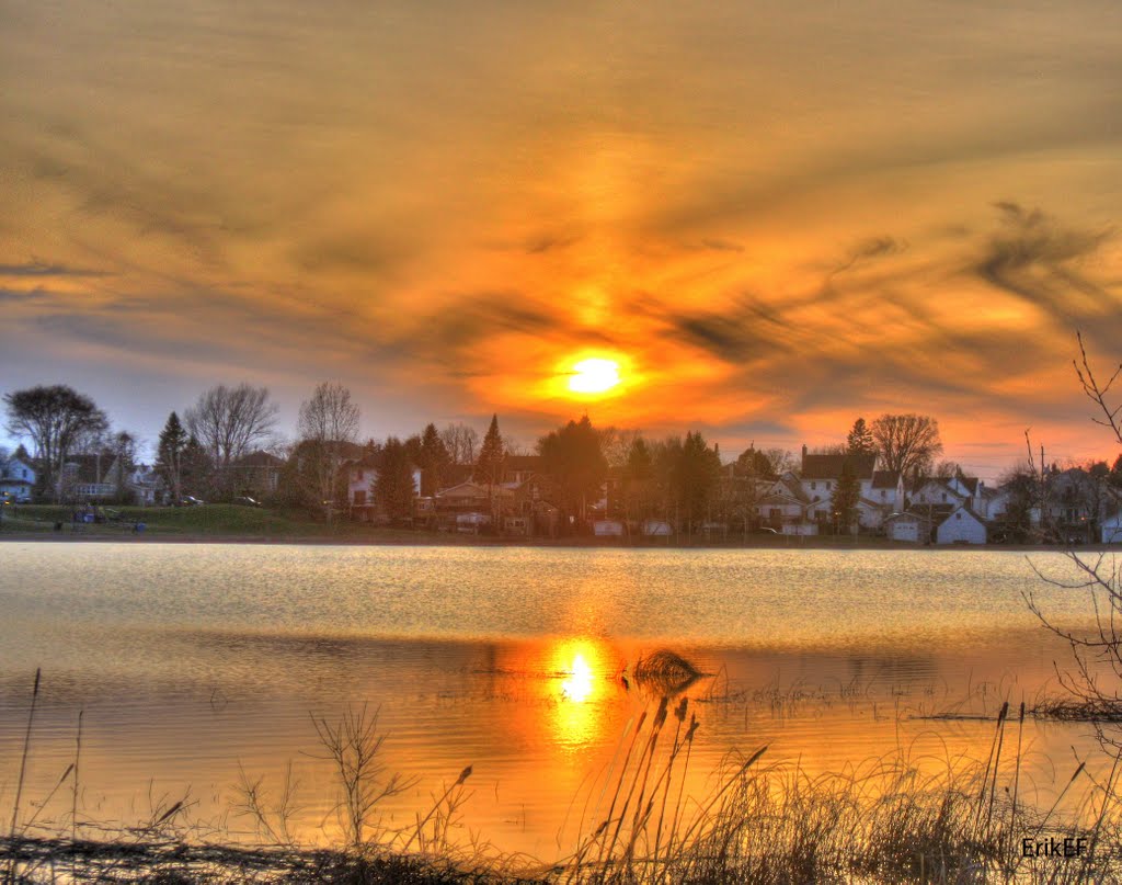 Sun Reflections