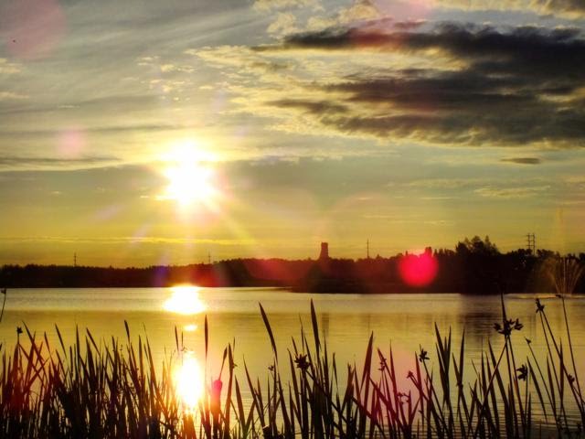 Sunrise on Gillies lake