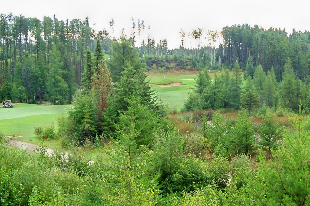 Hollinger Golf # 16