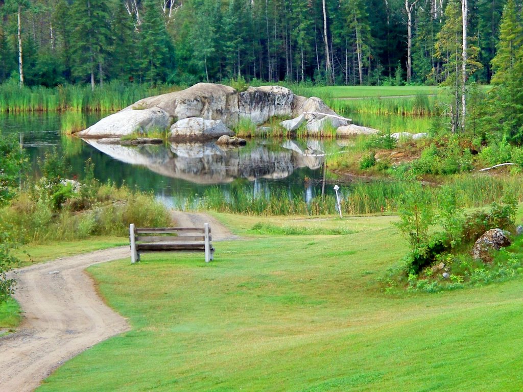 Hollinger Golf #12/13