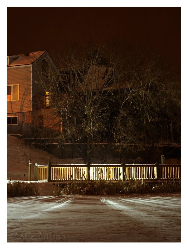 Gillies Lake on a winter night