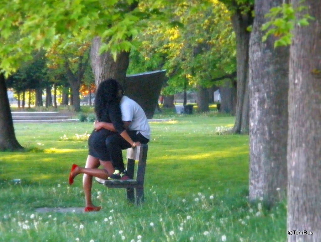 Spring  Fling in Coronation Park
