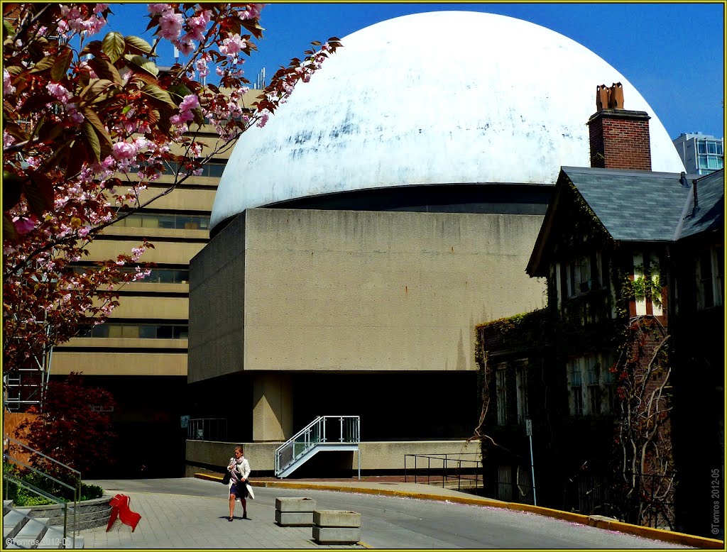 McLaughlin Planetarium, 1968-1995 ; another Toronto victim of budget cut.