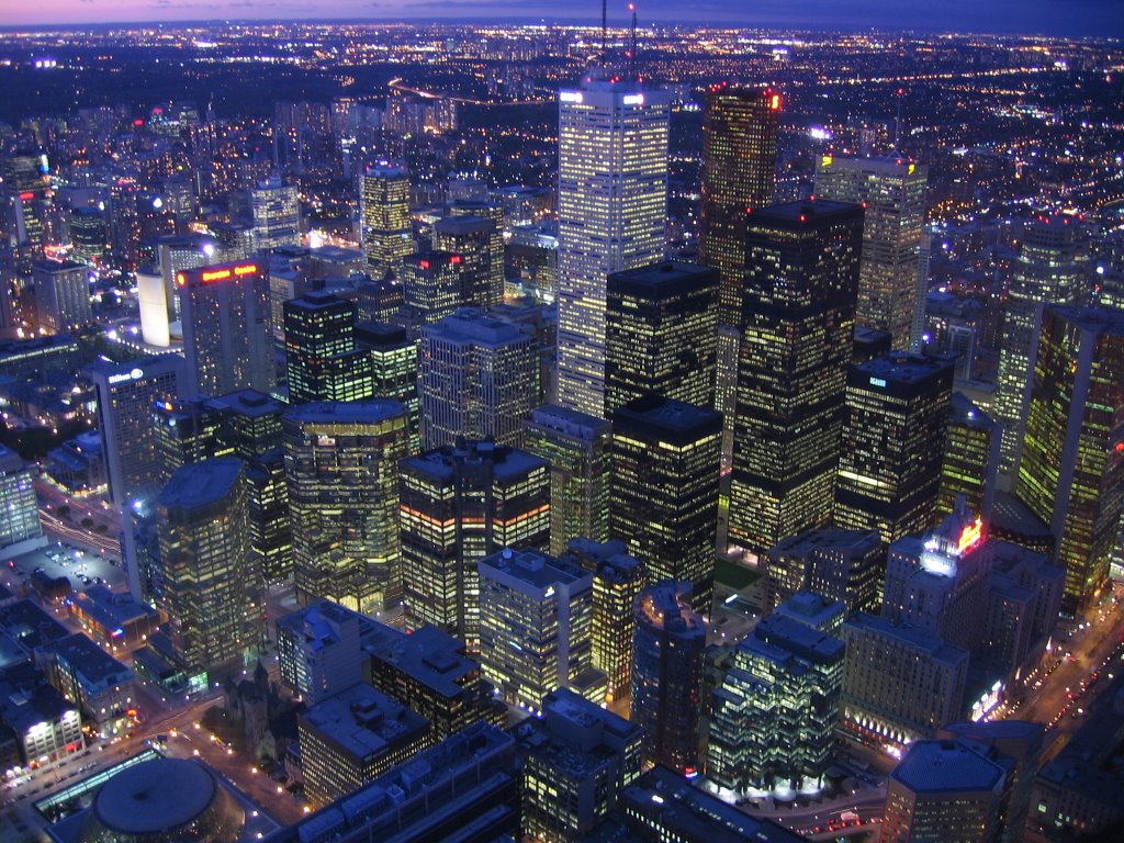 View from the CN Tower [002973]