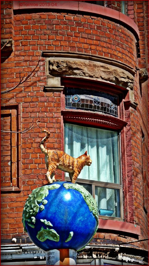 Cat on a globe, Kensington Market, D. Hlynsky- S. Yanover 2000. If you walk with your head high, you may see it!