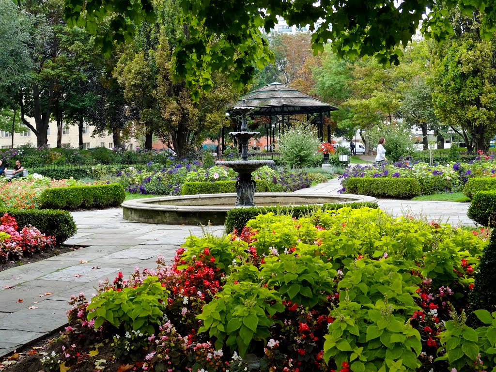 Una imagen es poesía… cuando te invita con su belleza. -----------An imagen is poetry… when  invites you with its beauty