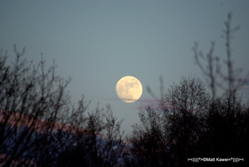 Full moon over Dease Street