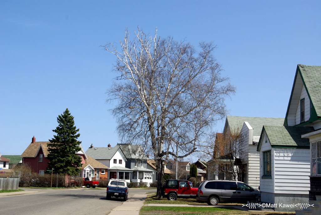 Midday view of Dease Street
