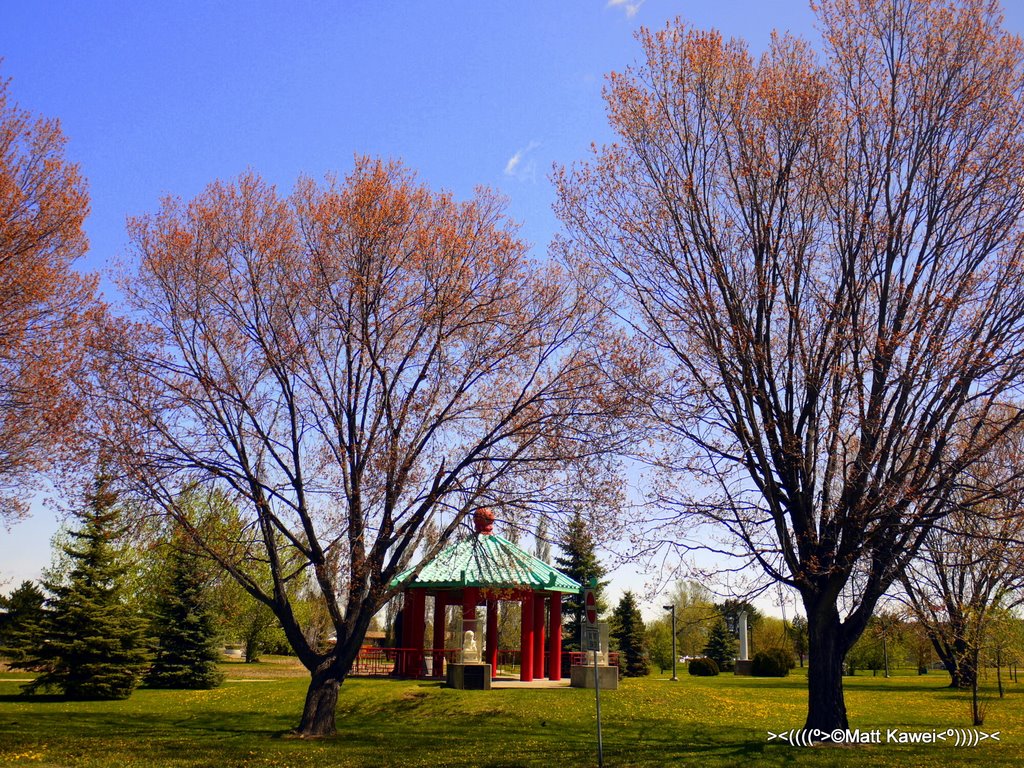 International Friendship Garden