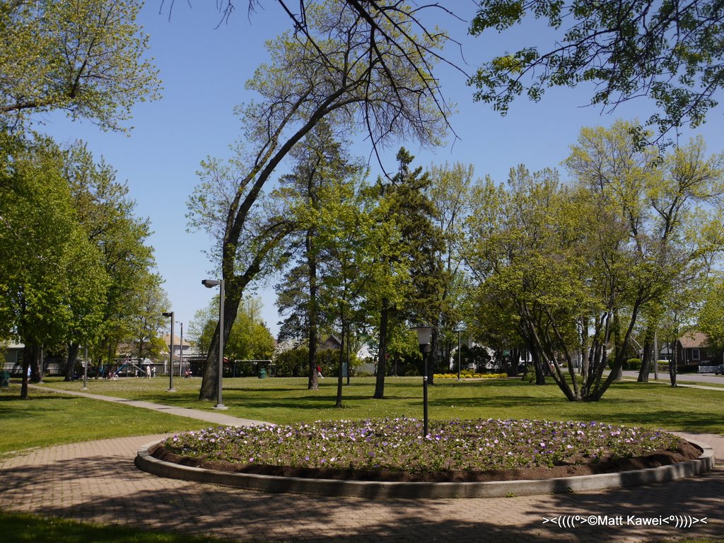 Dease Park