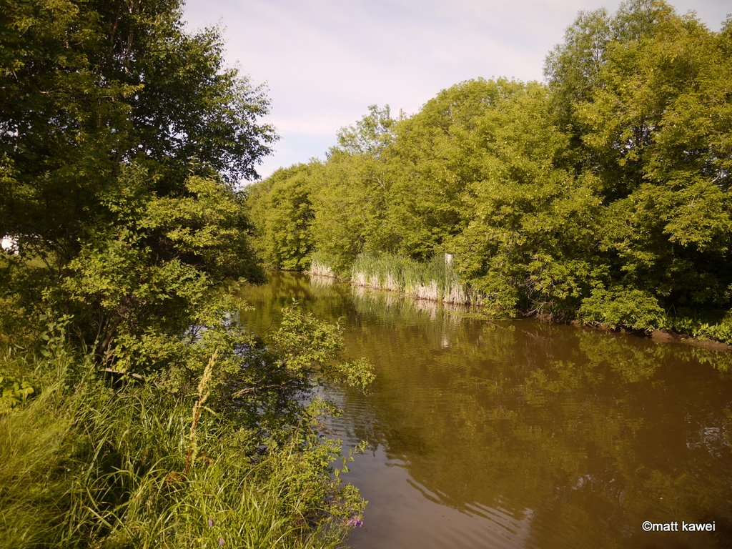 Landscape reflections along Neebing River
