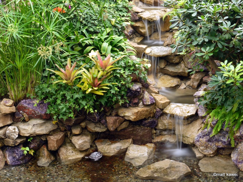 Tropical vegetations and water rapids