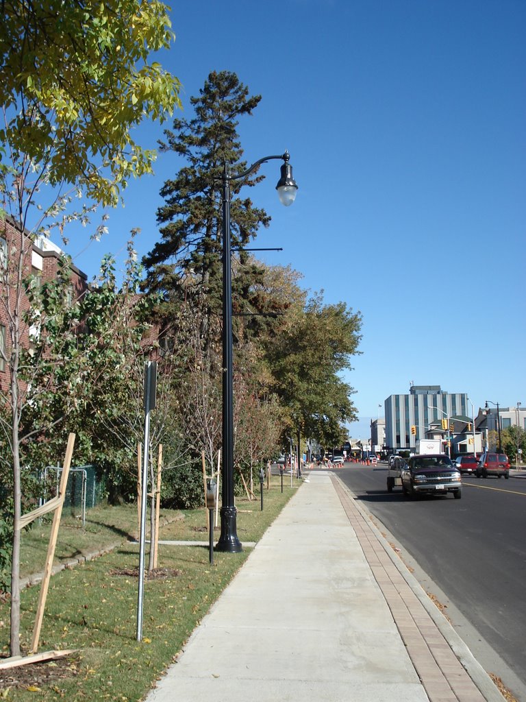 Syndicate Ave streetscaping looking north