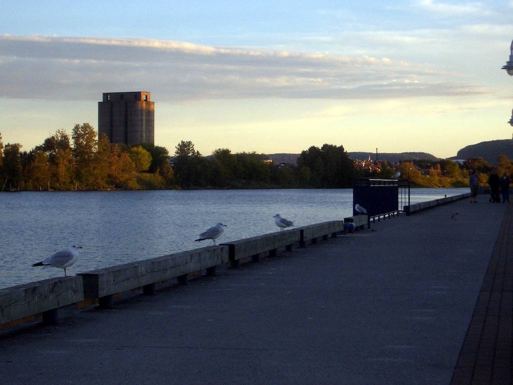 Kam River near James Whalen Tugboat
