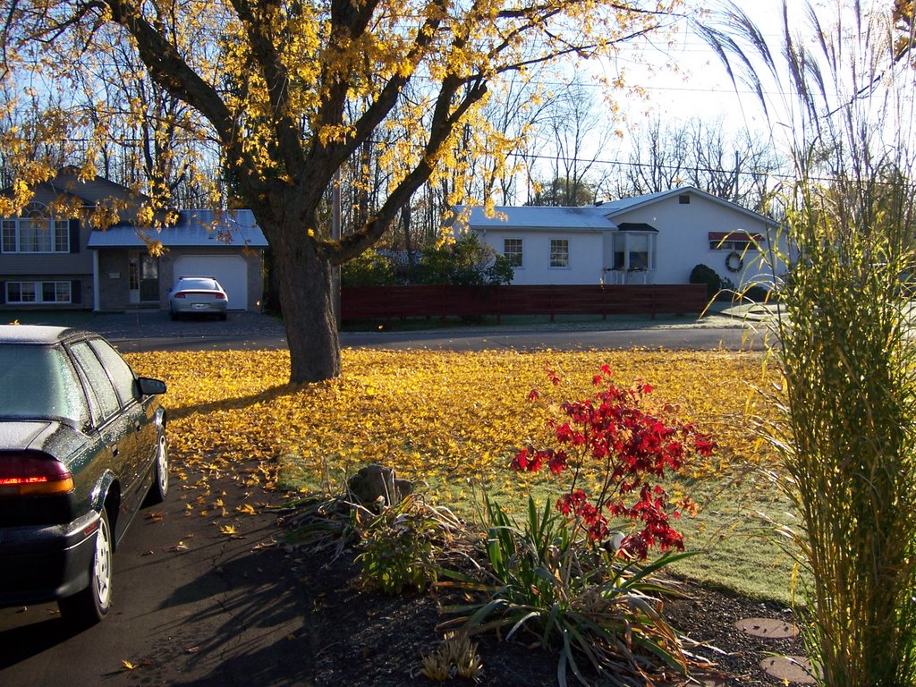 My Neighborhood in Fall