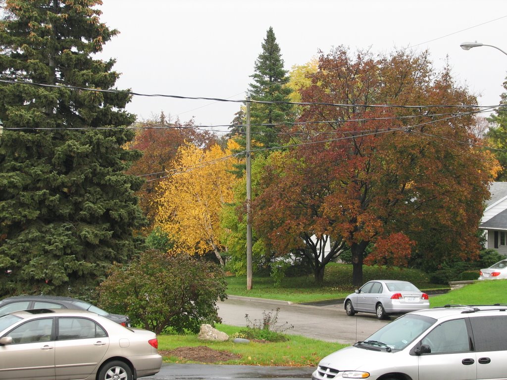 Woodward Ave. Thornhill